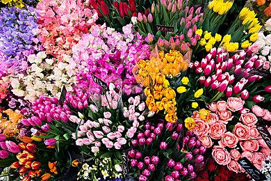 爆料人称《星之卡比：机械星球》重制或延期至2026年