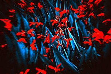 EA《肯泽拉传说：扎乌》上市预告 现已正式发售